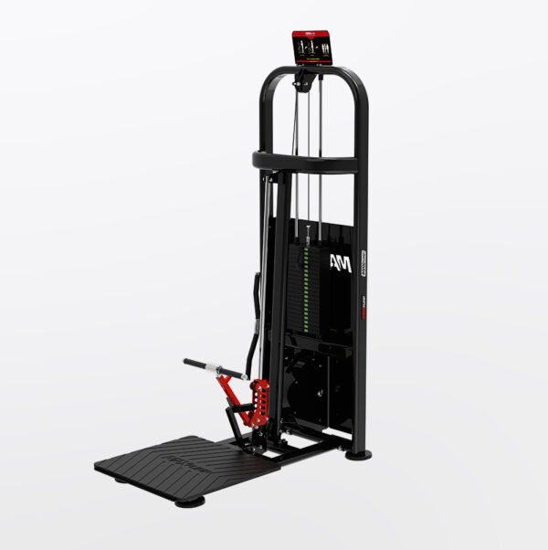 A7099 | Max Standing Biceps