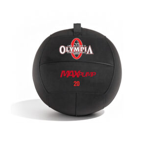AC004 | Heavy-Duty Wall Ball 
