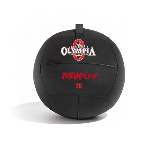 AC004 | Heavy-Duty Wall Ball 