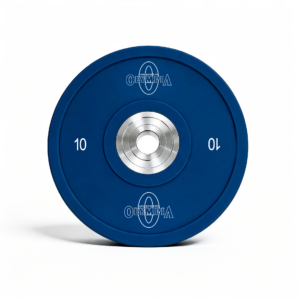 PL001 |  Wheel Hub Bumper Plate